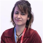 Professora de exatas e do ensino superior em cursos de Engenharia